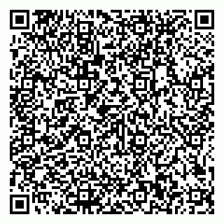 vCard 79585100010