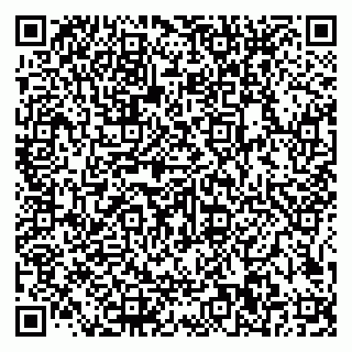 vCard 79585100011