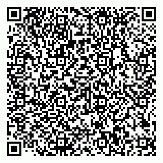 vCard 79585100013
