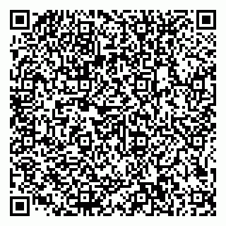 vCard 79585100017