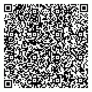 vCard 79585100018