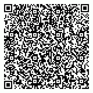 vCard 79585100019