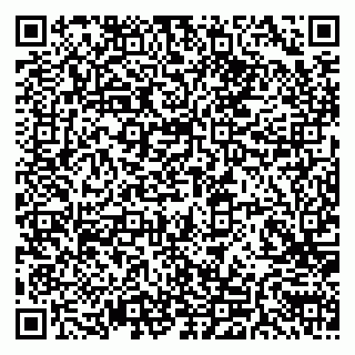 vCard 79585100020