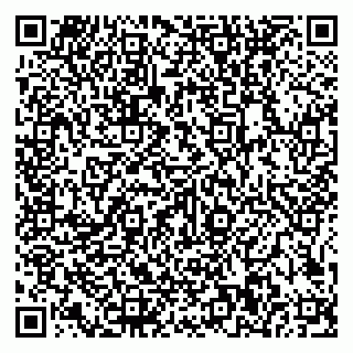 vCard 79585100022