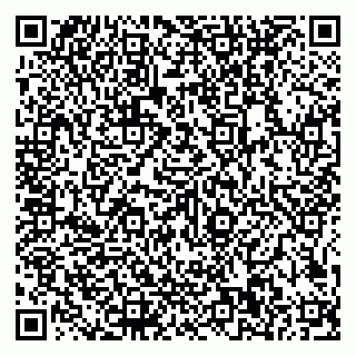 vCard 79585100024