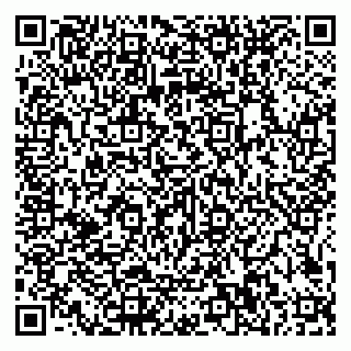 vCard 79585100037
