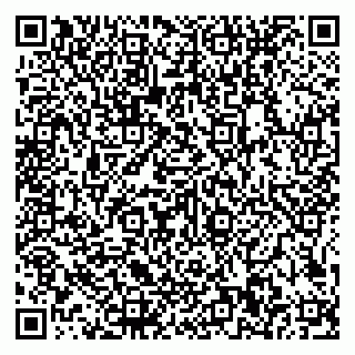 vCard 79585100040