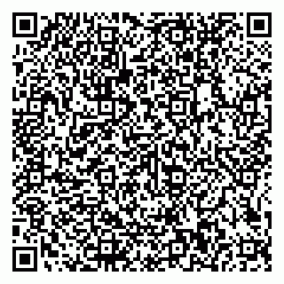 vCard 79585100042