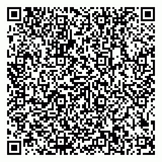 vCard 79585100045