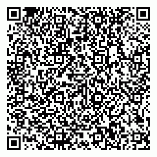 vCard 79585100063