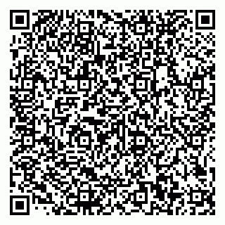 vCard 79585100078