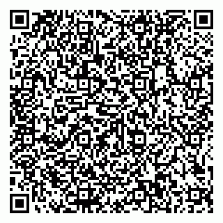 vCard 79585100087