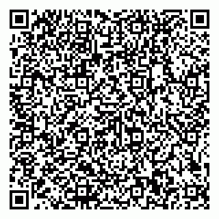 vCard 79585100090