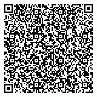 vCard 79585100091