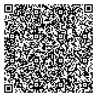 vCard 79585100095