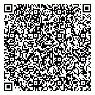 vCard 79585100113