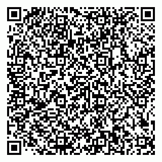 vCard 79585100115