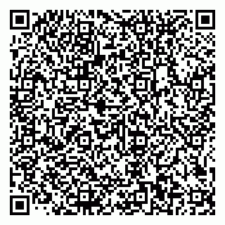 vCard 79585100119