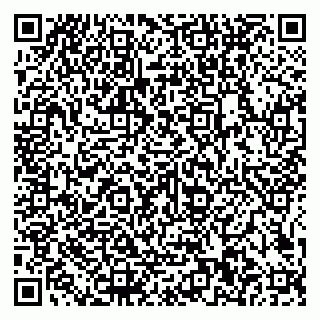 vCard 79585100120