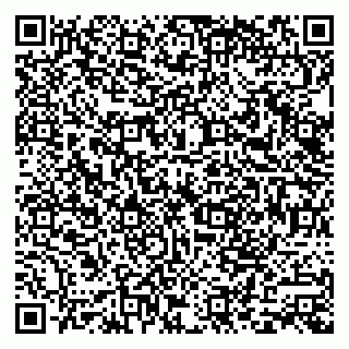 vCard 79585100125