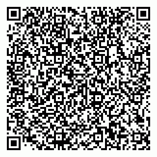 vCard 79585100129