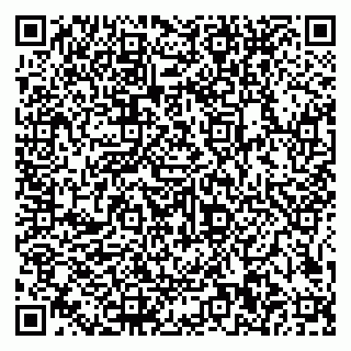 vCard 79585100130