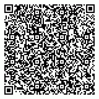 vCard 79585100131