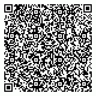 vCard 79585100132
