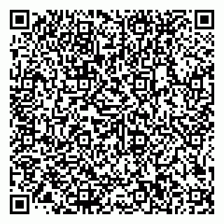 vCard 79585100133