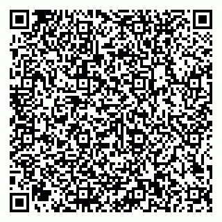 vCard 79585100134