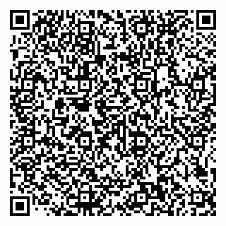 vCard 79585100136