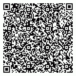 vCard 79585100137