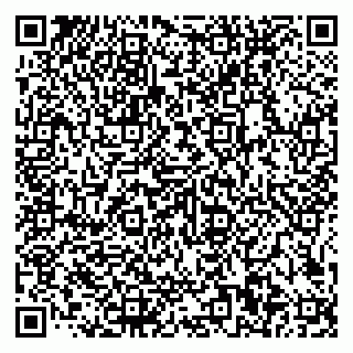 vCard 79585100138