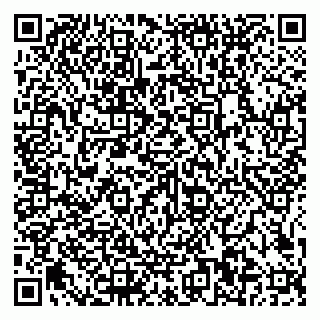 vCard 79585100139
