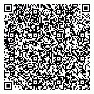 vCard 79585100141