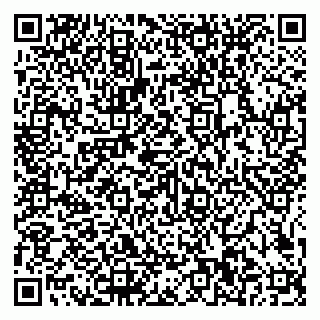 vCard 79585100151