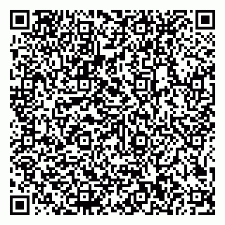 vCard 79585100152