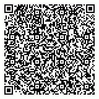 vCard 79585100153