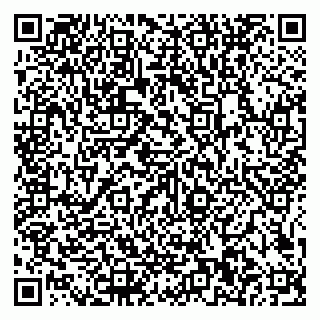 vCard 79585100160