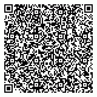 vCard 79585100161
