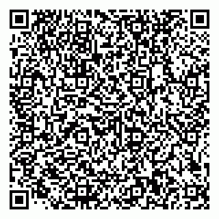 vCard 79585100162