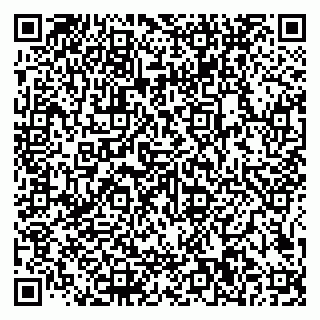 vCard 79585100163