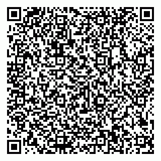 vCard 79585100165