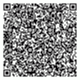 vCard 79585100170