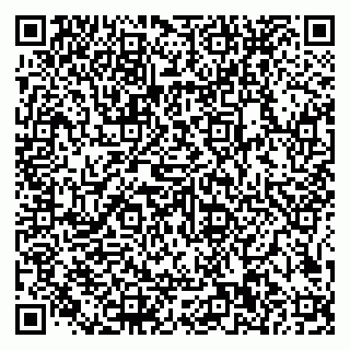 vCard 79585100174