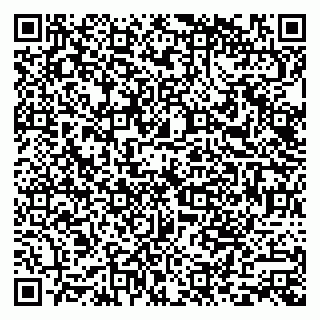 vCard 79585100175