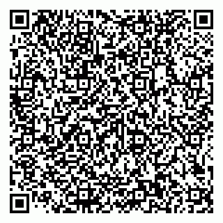 vCard 79585100176