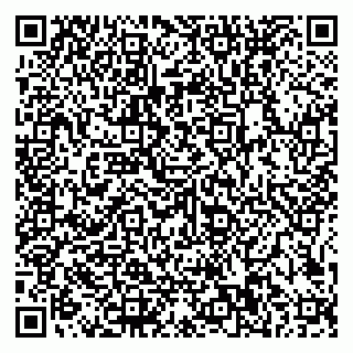 vCard 79585100177