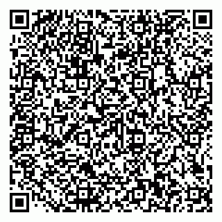 vCard 79585100180
