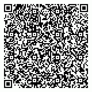 vCard 79585100181